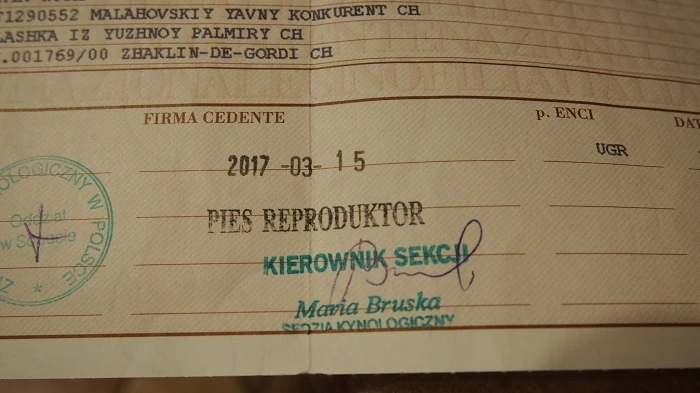 Sibirjak