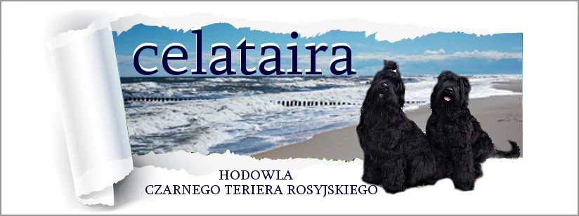 Celataira